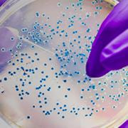Cover image for research topic "10 Years of Frontiers in Microbiology: a Retrospective Look at the Future of the Microbial Sciences"