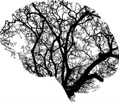 Cover image for research topic "Experimental Approaches to Pragmatics"