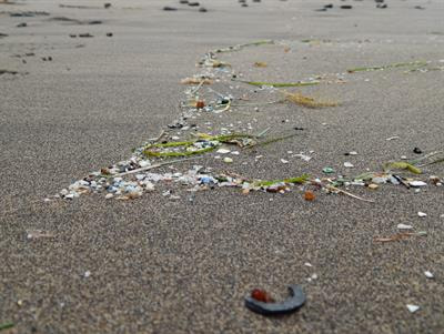 Cover image for research topic "Microplastics in the Marine Environment: Sources, Distribution, Biological Effects and Socio-Economic Impacts"