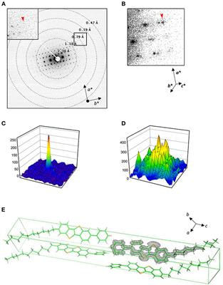 Cover image for research topic "Investigation of Protein and Small Molecule Structures using 3D Electron Crystallography"
