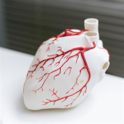 Cover image for research topic "Novelties in the Therapeutic Approaches for Chronic Heart Failure: Cardiovascular targets and beyond"
