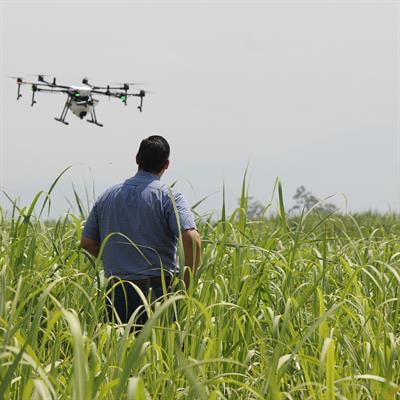 Cover image for research topic "State-of-the-art Technology and Applications in Crop Phenomics"