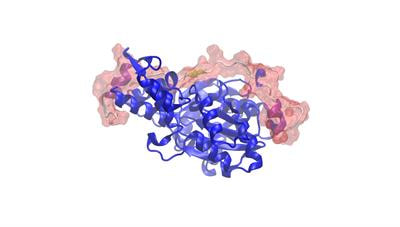 Cover image for research topic "Computational Drug Discovery for Targeting of Protein-Protein Interfaces"