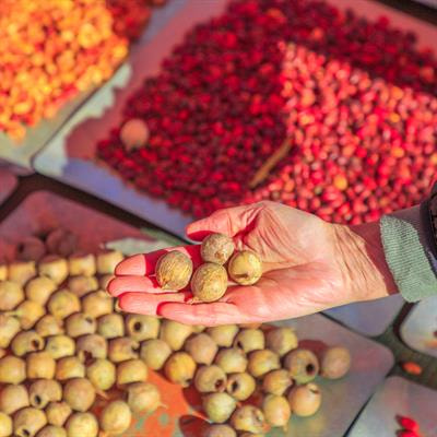 Cover image for research topic "Food and Nutrition Security: Underutilized Plant and Animal-Based Foods"