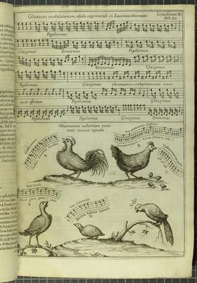 Cover image for research topic "Songs and Signs: Interdisciplinary Perspectives on Cultural Transmission and Inheritance in Human and Nonhuman Animals"