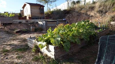 Cover image for research topic "Sustainable and Environmentally Concerned Citizens: Garden-Based Learning to Promote the Importance of Physical, Natural, and Social Resources"