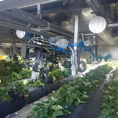 Cover image for research topic "Artificial Intelligence Applications in Specialty Crops"