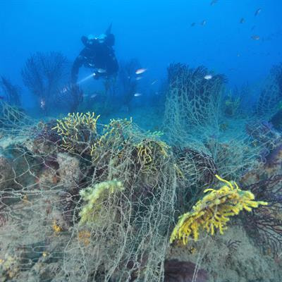 Cover image for research topic "Biogenic Reefs at Risk: Facing Globally Widespread Local Threats and Their Interaction with Climate Change"