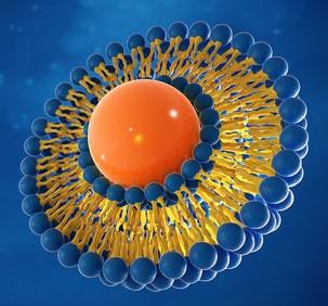 Cover image for research topic "Lipid Nanoparticles as a Novel Strategy to Deliver Bioactive Molecules"