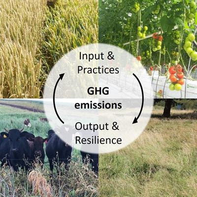 Cover image for research topic "Greenhouse Gas Emissions and Emissions Mitigation from Agricultural and Horticultural Production Systems"