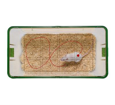 Cover image for research topic "Home Cage-based Phenotyping in Rodents: Innovation, Standardization, Reproducibility and Translational Improvement"