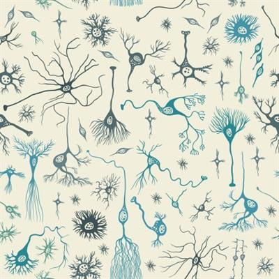 Cover image for research topic "Primary Glial and Immune Cell Pathology in Neurodegenerative Diseases"