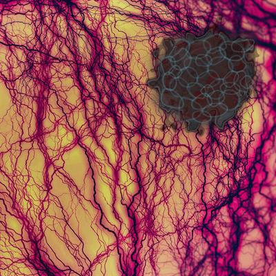 Cover image for research topic "Tumor Vessels as Directors of the Tumor Microenvironment: New Findings, Current Challenges & Perspectives"