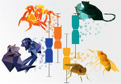 Cover image for research topic "Modern Methods in Neuroethology"