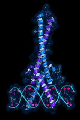 Cover image for research topic "Molecular Mechanisms and Treatment of MYCN-driven Tumors"