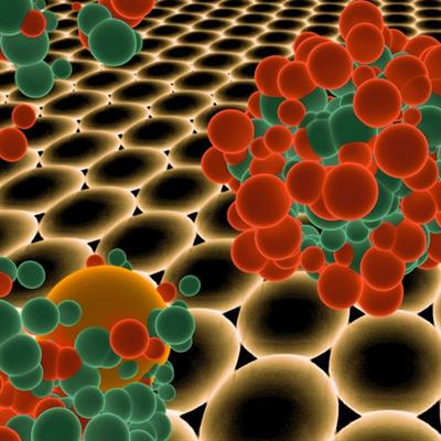 Cover image for research topic "New Approaches in Toxicity Testing of Nanotherapeutics"