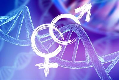 Cover image for research topic "Sex Difference in Cancer Genomics and its Impact on Therapy"