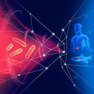 Cover image for research topic "Vibrio Virulence Regulation and Host Interactions"