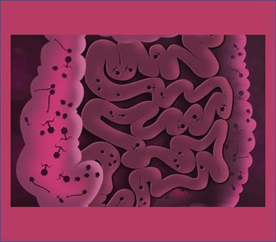 Cover image for research topic "Viruses: Drivers or Passengers of the Human Gut Microbiome?"