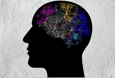 Cover image for research topic "Trajectories of Brain Abnormalities in Early Schizophrenia"