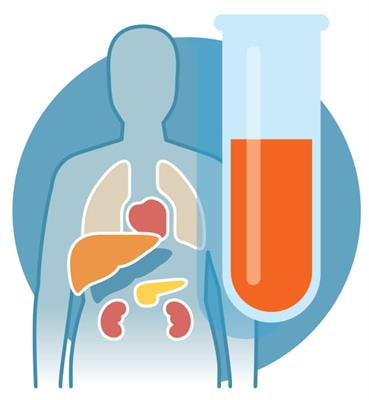 Cover image for research topic "Therapeutic Drug Monitoring in Solid Organ Transplantation"