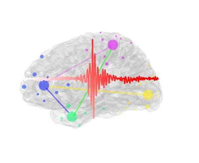 Cover image for research topic "High Frequency Brain Signals: From Basic Research to Clinical Application"