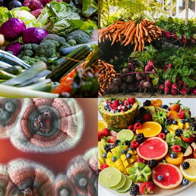 Cover image for research topic "Sustainable Production of Bioactive Pigments"