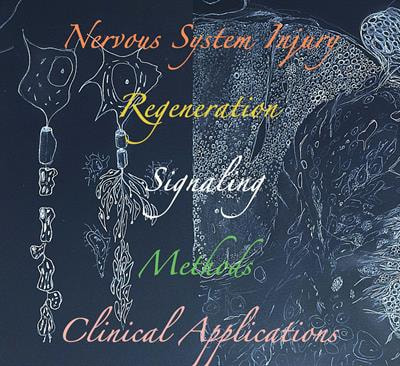 Cover image for research topic "Morphogenic Cascades underlying Regeneration and Plasticity after Nervous System Injury"