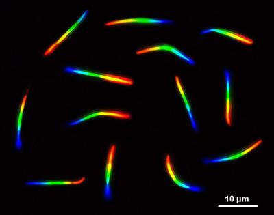 Cover image for research topic "Synthesis of Optically Active Nanowires for Photonics Applications"