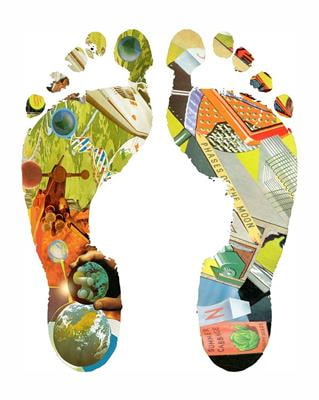 Cover image for research topic "Understanding Diabetic Foot Disease: Current Status and Emerging Treatment Approaches"