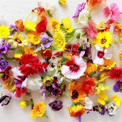 Cover image for research topic "Edible Flowers: Understanding the Effect of Genotype, Preharvest, and Postharvest on Quality, Safety, and Consumption"