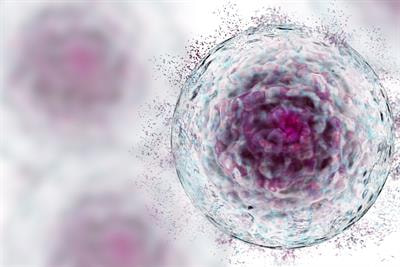 Cover image for research topic "Protein Functional Changes and Signaling Transduction in Cancer Stem Cells"