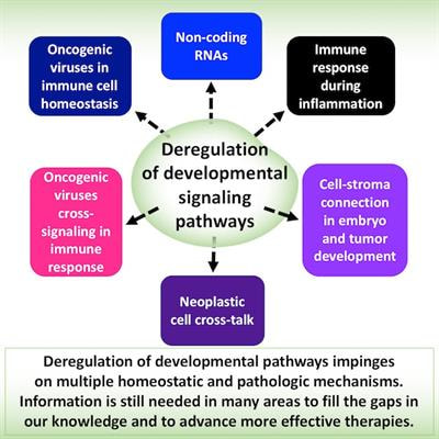 Cover image for research topic "Targeting Developmental Pathways in Inflammation and Disease"