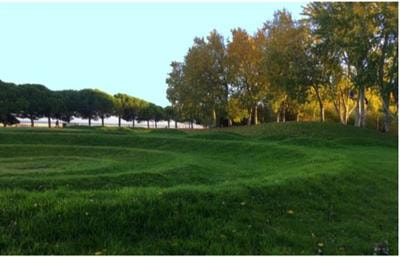 Cover image for research topic "Cross-Cultural and Relational Views on Nature"