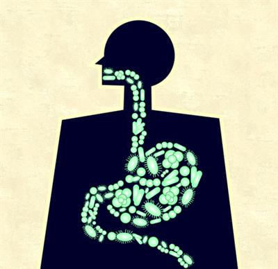 Cover image for research topic "Food Additives, Cooking and Processing: Impact on the Microbiome"