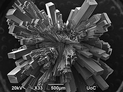 Cover image for research topic "Phosphonate Chemistry in Drug Design and Development"