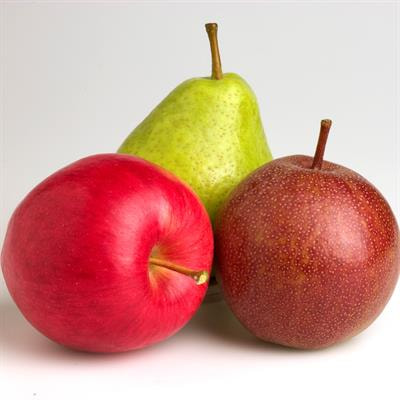 Cover image for research topic "Rosaceae Fruit Development and Quality"