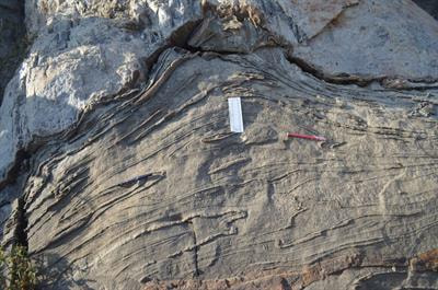 Cover image for research topic "Meso- and Microscopic Structures: Implications for Tectonics"