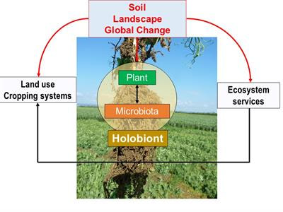 Cover image for research topic "The Plant Holobiont Volume I: Microbiota as Part of the Holobiont; Challenges for Agriculture"