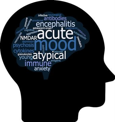 Cover image for research topic "Immune Associated Mental Illnesses in Adolescents and Young Adults: Pathophysiological Role and Therapeutic Perspectives"