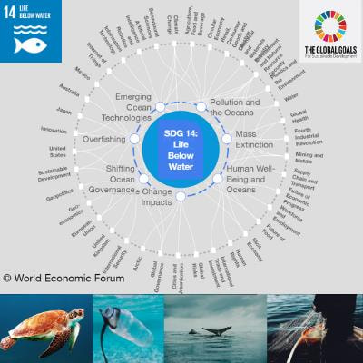 Cover image for research topic "Sustainable Development Goal 14 - Life Below Water: Towards a Sustainable Ocean"