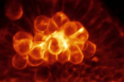 Cover image for research topic "Establishing and Maintaining Cell Polarity"