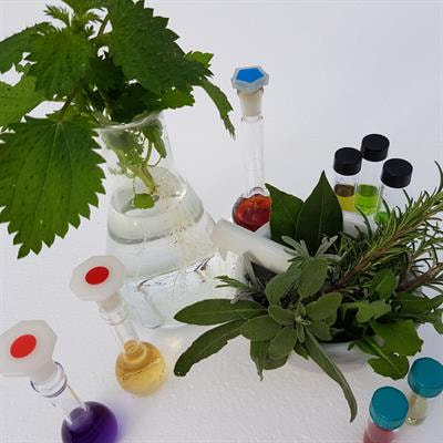 Cover image for research topic "Soilless Culture for Vegetative Biomass Production and Specialized Metabolites: Medicinal, Aromatic and Edible Plants"