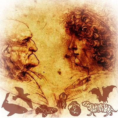 Cover image for research topic "Non-Canonical Model Organisms and Comparative Approaches to Understanding Cellular and Molecular Mechanisms of Aging"