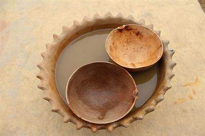 Cover image for research topic "Traditional Food Knowledge: New Wine into Old Wineskins?"