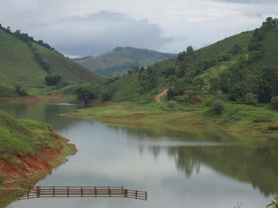 Cover image for research topic "Ecological Dynamics Across the Aquatic-Terrestrial Boundary"