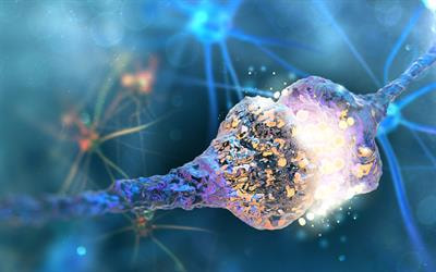 Cover image for research topic "Non-Invasive Brain Stimulation in the Study and Modulation of Metaplasticity in Neurological Disorders"