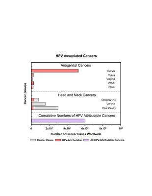 Cover image for research topic "HPV Associated Cancers, Socio-Economic Disparity and Vaccination"