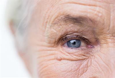 Cover image for research topic "Omics of Human Aging and Longevity in the Post Genome Era: From Single Biomarkers to Systems Biology Approaches"