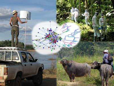 Cover image for research topic "Disease Ecology: Novel Concepts and Methods to Track and Forecast Disease Emergence, Transmission, Spread, and Endemization"